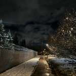 Алиса, фото