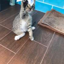 Срочно нужен, в Москве