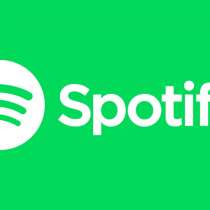 Вечная подписка SPOTIFY, в Москве