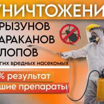 Уничтожение тараканов, клопов, насекомых, в Пятигорске
