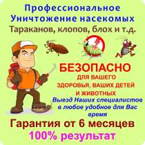 Уничтожение тараканов, клопов, насекомых - Дезинсекция, в Москве