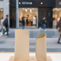 Очечник, в Челябинске