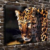 Картина-принт на холсте Леопард, в г.Бишкек