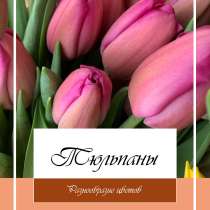 Сочные тюльпаны, в Белгороде