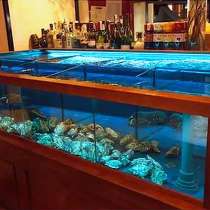 Изготовление торговых аквариумов для рыбы, раков, устриц, в Севастополе