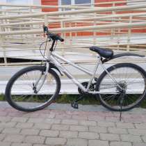 Велосипед, в Сургуте