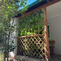 Отдых на Иссык Куле. Гостевой дом «Зеленый сад» Чолпон-Ата, в г.Бишкек