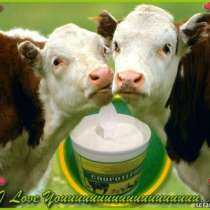 Споровый пробиотик для телят,коров, в Саранске