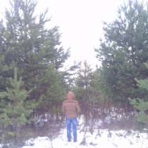 Баланс сосна, береза., в Екатеринбурге