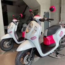 Honda Scoopy 110 см3 2023 года в аренду, в г.Пхукет