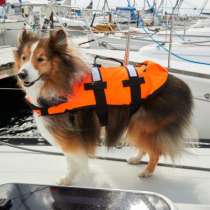 Спасательный жилет для собак весом 5-15 кг.швеция., в Санкт-Петербурге