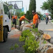 Расчистка участков от деревьев под строительство в Балашихе, в Балашихе