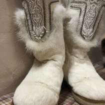 Кисы продам, в Сургуте