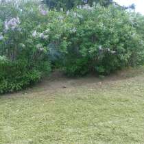 Покос травы, стрижка газона, в Бердске