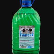 Незамерзайка, в Санкт-Петербурге