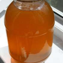 Мёд: липовый, подсолнечный, цветочный., в Ульяновске