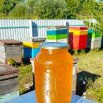 Мёд цветочный очень вкусный, в Красноярске