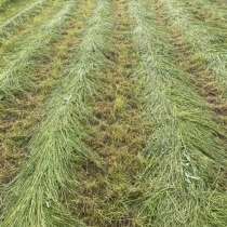 Продам сено, в Кашире