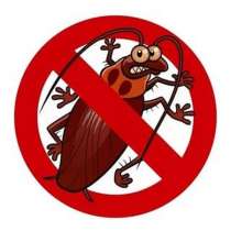 Уничтожение насекомых клопов тараканов Краснокамск, в Краснокамске