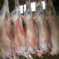 Мясо баранины оптом прямо от производителя с отличной ценой…, в Новосибирске