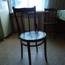 Продам венские стулья 4 штуки, в Новосибирске