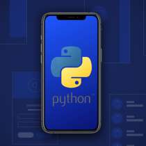Курс по разработке приложений на языке Python, в г.Минск