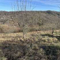 Сдам участое в аренду, в Сочи