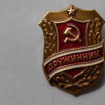 значок периода СССР дружинник, в Пензе