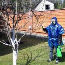 Оказываем услуги в области защиты растений, в Астрахани