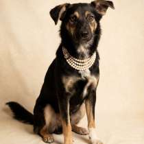 КОЗЯВОЧКА ЖДЕТ СВОЮ СЕМЬЮ, в г.Минск