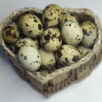 Перепелиное яйца, в г.Минск