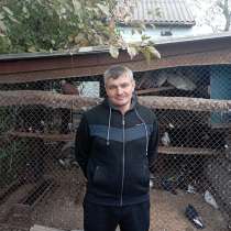 ВЛАДИМИР, 44 года, хочет пообщаться, в г.Луганск