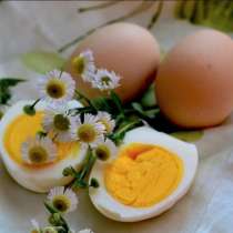 Яйца куриные, в Саратове