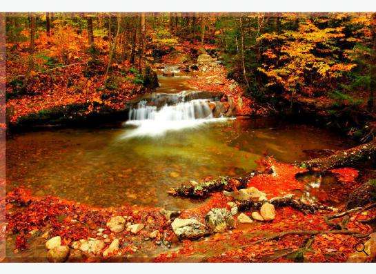 Картина на холсте "Лесное озеро"