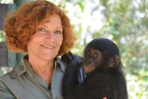 Помощь приматам разных видов, реабилитация детёнышей обезьян