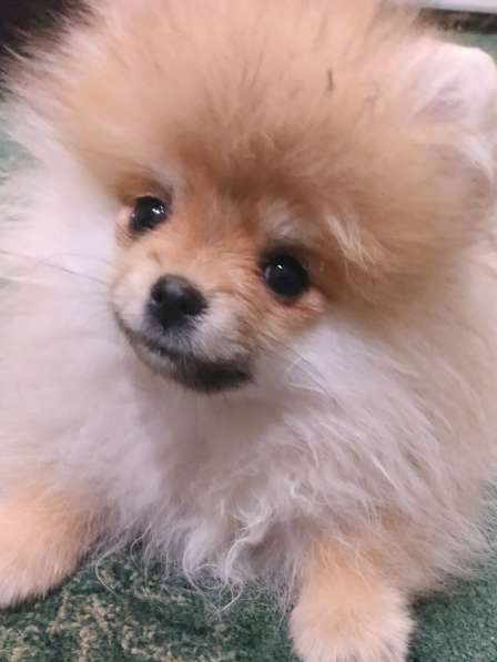 Маленькая чудесная девочка 4 месяца в фото 17