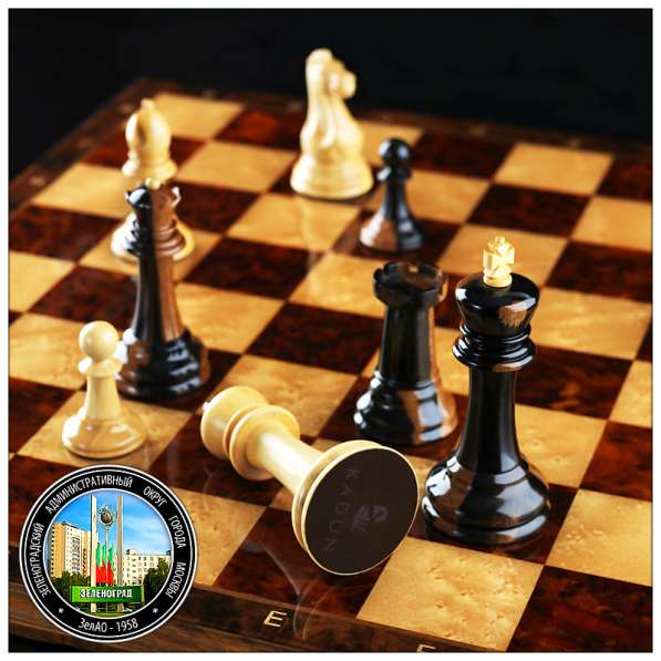 Обучение шахматам и шашкам в Зеленограде для всех желающих в Зеленограде