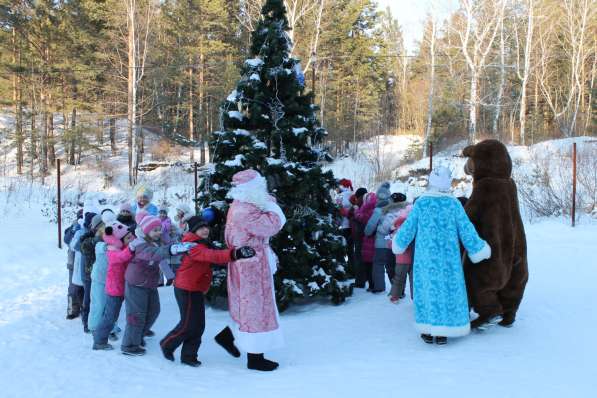 Новогодние праздники! в Красноярске фото 4