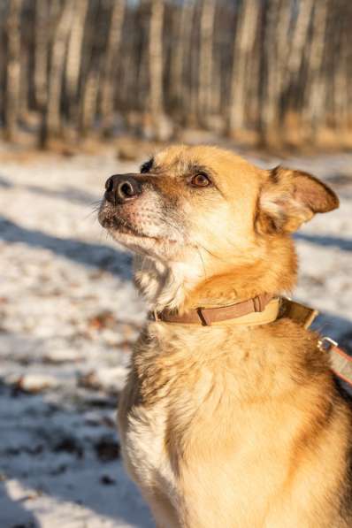 Харизматичный Марк ищет дом в Москве фото 10