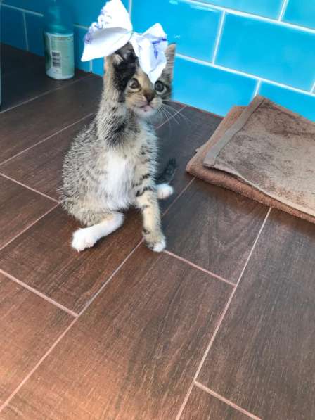 Срочно нужен