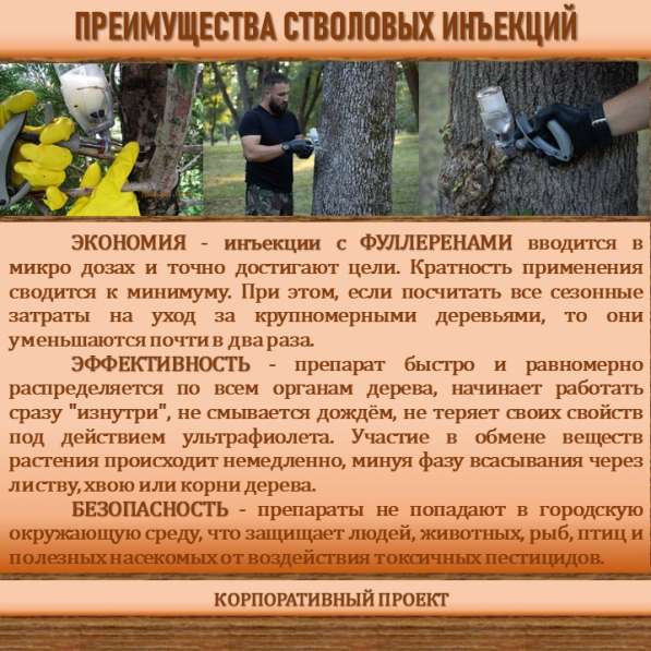 СИСТЕМА УПРАВЛЕНИЯ ФИТОСАНИТАРНЫМ СОСТОЯНИЕМ ЭКОСИСТЕМ в Сочи фото 12