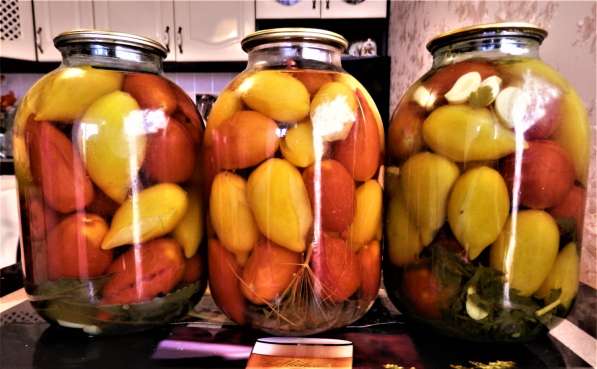 Семена томата ЛЕГЕНДА ТАРАСЕНКО - 20шт в Новосибирске фото 5