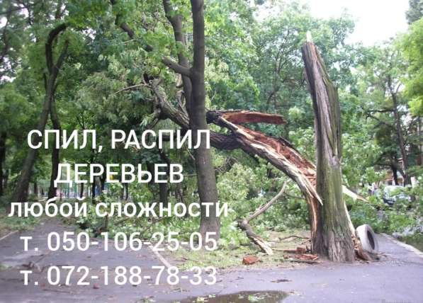 Услуги по лнр, и области в 