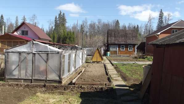 Продам дачу на Свинокомплексе в Перми фото 12