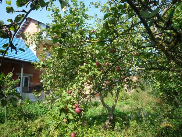 Кирпичный дом в г. Козельске, Калужской обл, 270 км. от МКАД в Электростале фото 5