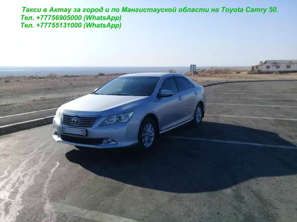 Актау/ Индивидуальные экскурсии по Мангистауской области в Санкт-Петербурге фото 31