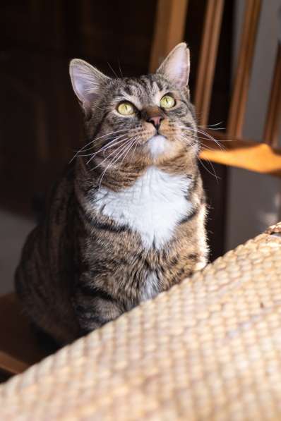 Вальяжный Боб в Москве фото 21