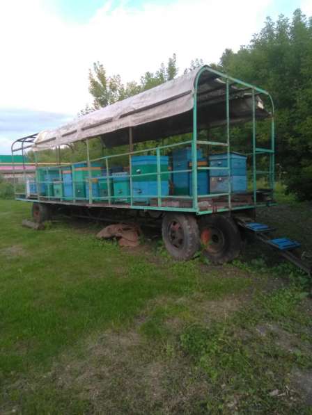 Платформа для перевозки ульев, передвижной домик пчеловода
