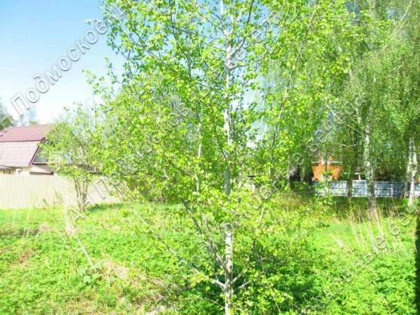 realty_mapper3.plot_in_locationСадовое некоммерческое тов-во. Есть Электричество, Газ. в Москве фото 4