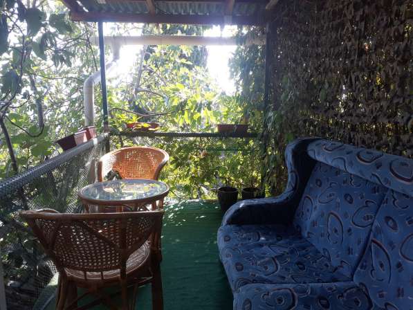 Отдельный номер с двориком в Симеизе в Ялте фото 13